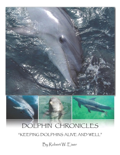 Dolphin Chronicles: Keeping Dolphins Alive and Well