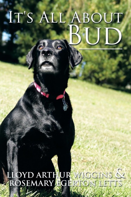 Its All about Bud
