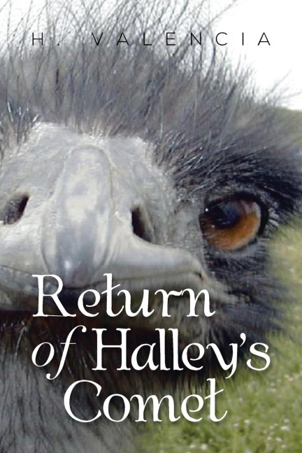 Return of Halleys Comet