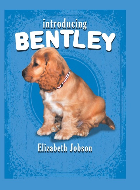 Introducing Bentley