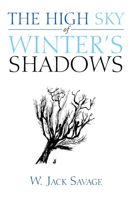 The High Sky of Winters Shadows