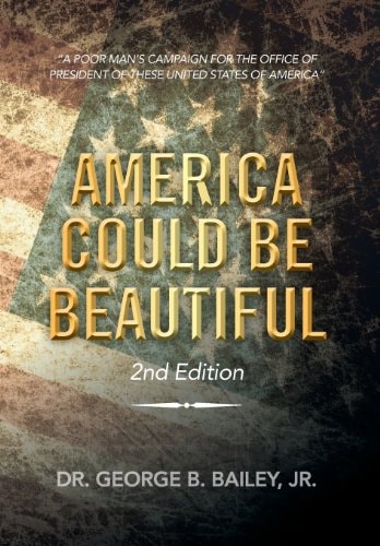 America Could Be Beautiful A Poor Man's Campaign for the Office of President of These United States of America