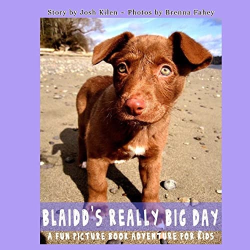 Blaidd's Really Big Day A Fun Picture Book Adventure