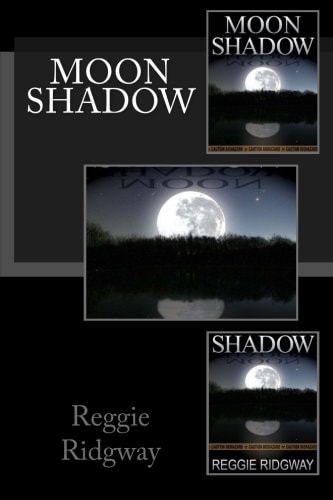 Moon Shadow