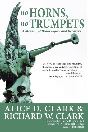 No Horns, No Trumpets A Memoir of Brain Injury and Recovery