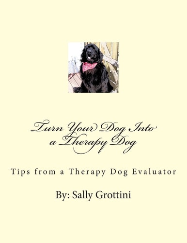 Turn Your Dog Into a Therapy Dog Tips from a Therapy Dog Evaluator