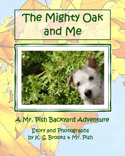 The Mighty Oak and Me A Mr. Pish Backyard Adventure