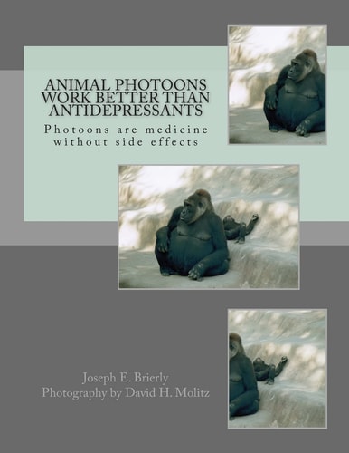 Animal Photoons Work Better Than Antidepressants Photoons Are Medicine Without Side Effects