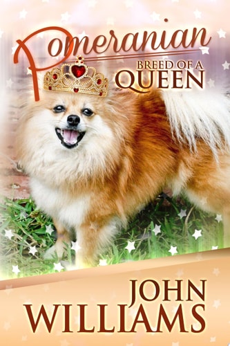Pomeranian - Breed of a Queen