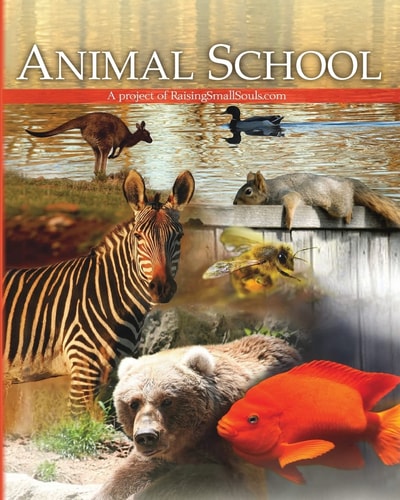 Animal School