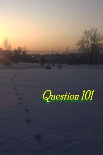 Question 101