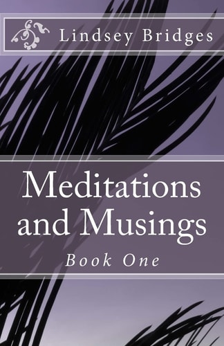 Meditations and Musings Book One