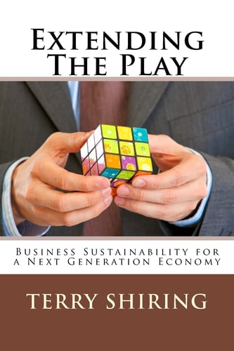 Extending The Play Business Sustainability for a Next Generation Economy