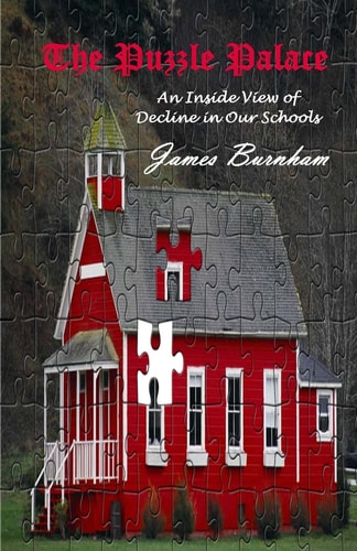 The Puzzle Palace An Inside View of Decline in Our Schools