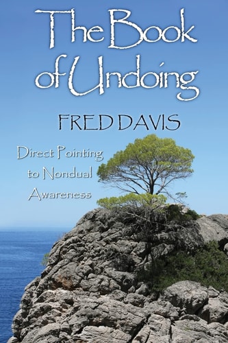 The Book of Undoing Direct Pointing to Nondual Awareness