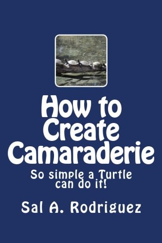How to Create Camaraderie So Simple a Turtle Can Do It!