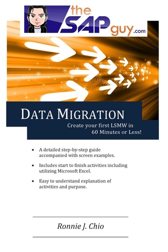 SAP Data Migration - Creating Your First LSMW in 60 Minutes Or Less!