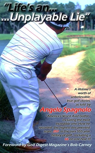 "Life's an Unplayable Lie"