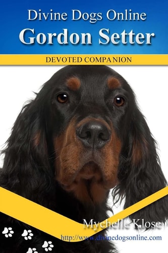 Gordon Setters Divine Dogs Online