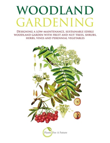 Woodland Gardening Designing a Low-Maintenance, Sustainable Edible Woodland Garden