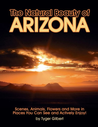 The Natural Beauty of Arizona Scenes, Animals, Flowers and More in Places You Can See and Actively Enjoy!