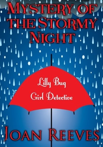 Mystery of the Stormy Night Lilly Bug, Girl Detective, Mystery