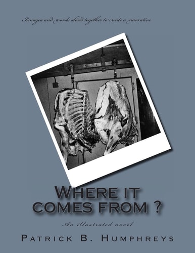 Where It Comes From ? An Illustrated Novel
