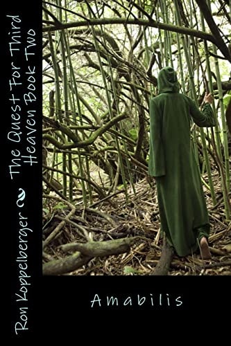 The Quest For Third Heaven Book Two Amabilis