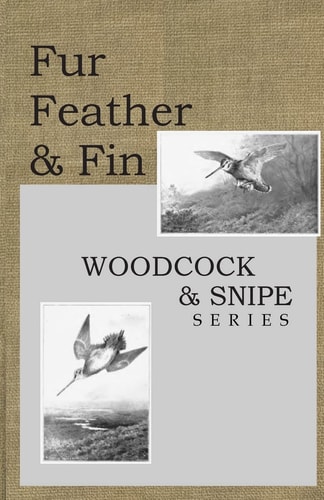 Fur Feather and Fin Snipe and Woodcock