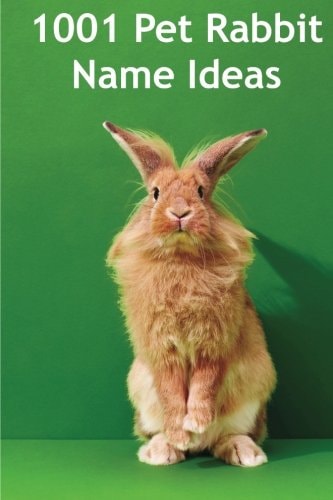 1001 Pet Rabbit Name Ideas The Most Popular, Quirky, and Fun Names You Could Give Your Pet Rabbit!