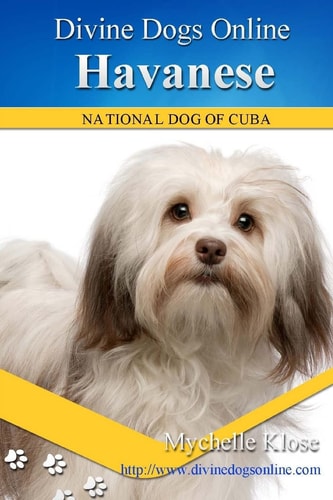 Havanese Divine Dogs Online