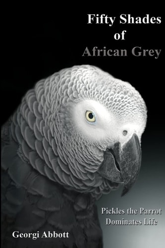 Fifty Shades of African Grey Pickles The Parrot Dominates Life