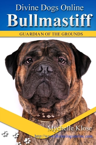 Bullmastiffs Divine Dogs Online