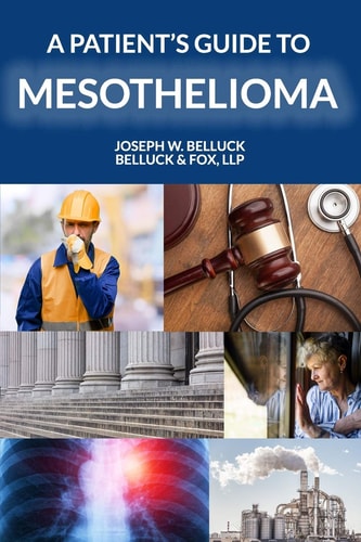 A Patient's Guide to Mesothelioma