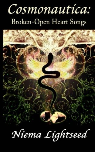 Cosmonautica Broken-Open Heart Songs