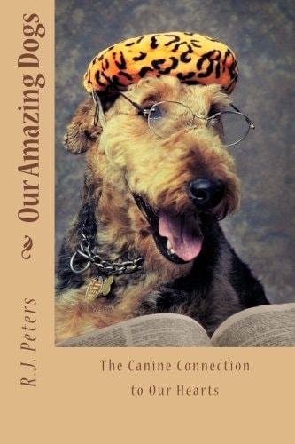 Our Amazing Dogs The Canine Connection to Our Hearts