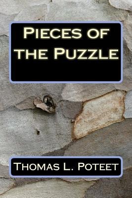 Pieces of the Puzzle