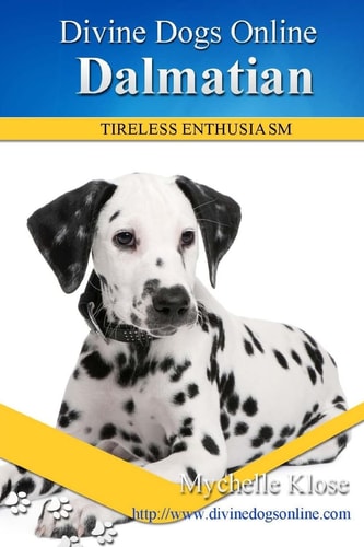 Dalmatians Divine Dogs Online