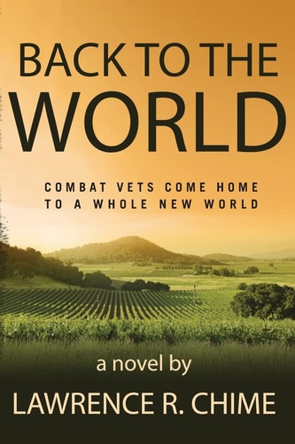 Back to the World Combat Vets Come Home to a Whole New World