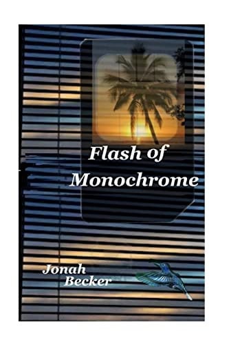 Flash of Monochrome