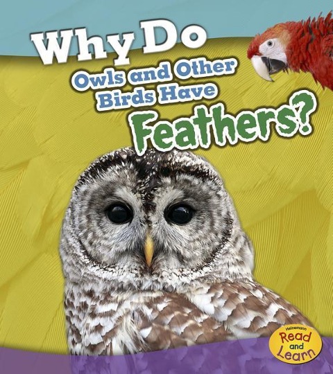Why Do Owls and Other Birds Have Feathers?