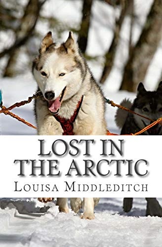 Lost in the Arctic