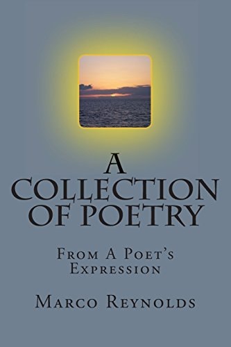 A Collection of Poetry From a Poet's Expression