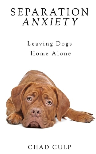 Separation Anxiety Leaving Dogs Home Alone