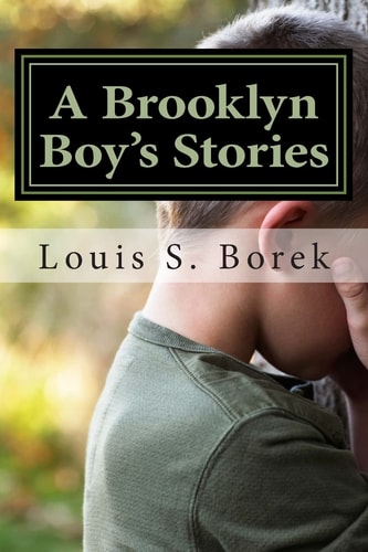 A Brooklyn Boy's Stories True Short Stories