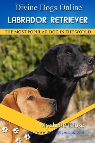 Labrador Retrievers: Divine Dogs Online