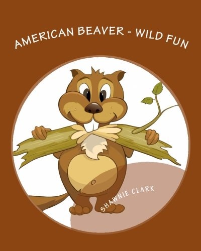 American Beaver Wild Fun