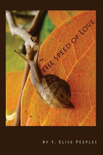 The Speed of Love