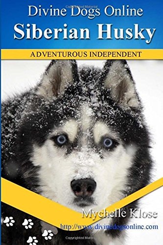 Siberian Huskies Divine Dogs Online