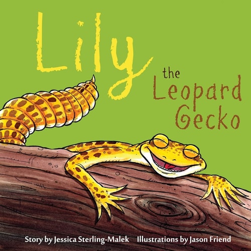 Lily the Leopard Gecko